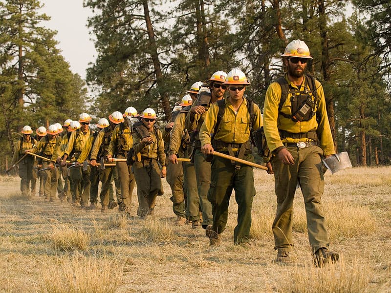 Crew members with shovels and hardhats walking in a line in the forest.