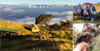 XT Series fabric shelters at a high-elevation conservation field camp on Haleakala, Maui